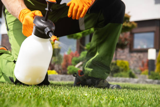 Insect Control in World Golf Village, FL
