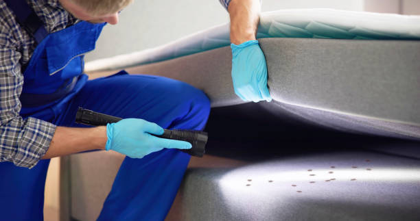 Best Local Pest Control Services  in World Golf Village, FL