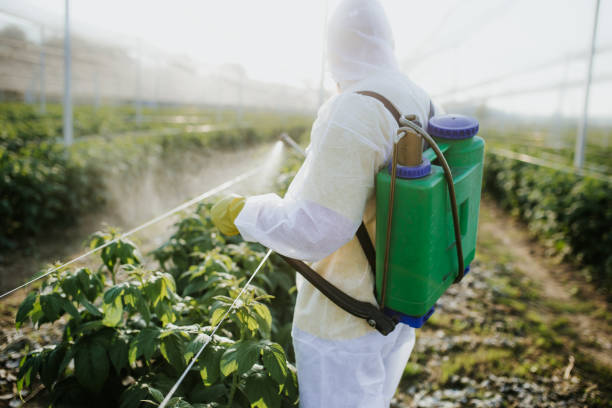 Trusted World Golf Village, FL Pest Control Experts
